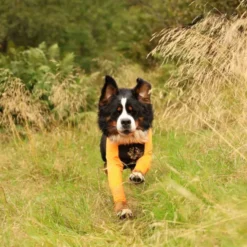 Non-stop dogwear Protector suit Male orange/sort