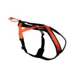 Non-Stop Dogwear Rush Hundesele Orange