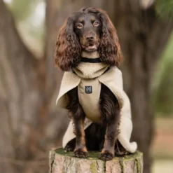 Non-Stop Dogwear Wool Dekken Merinoull Beige