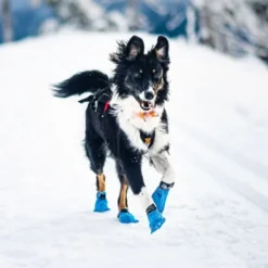 Non-stop Long Distance Bootie