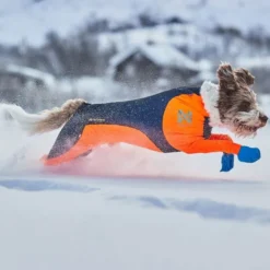 Non-stop protector Snø Hundeoverall Hannhund