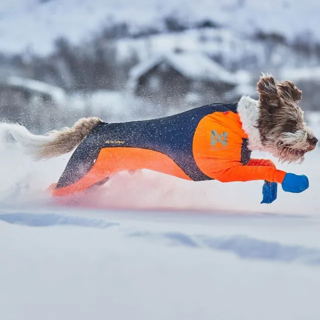 Non-stop protector Snø Hundeoverall Hannhund