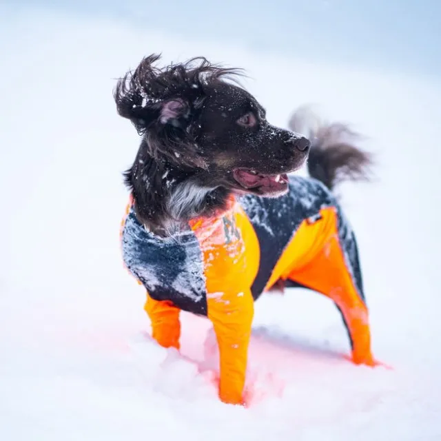 Non-stop protector Snø Hundeoverall Hannhund