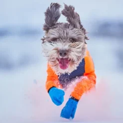 Non-stop protector Snø Hundeoverall Hannhund