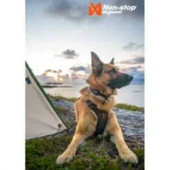 Non-Stop Rock sele sort/oransje