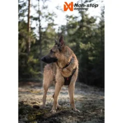 Non-Stop Rock sele sort/oransje