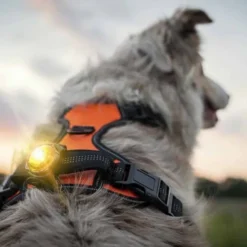 Orbiloc Dual Safety Light