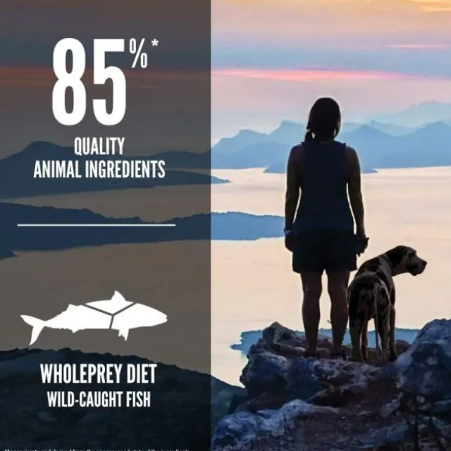 Orijen Dog 6 Fish