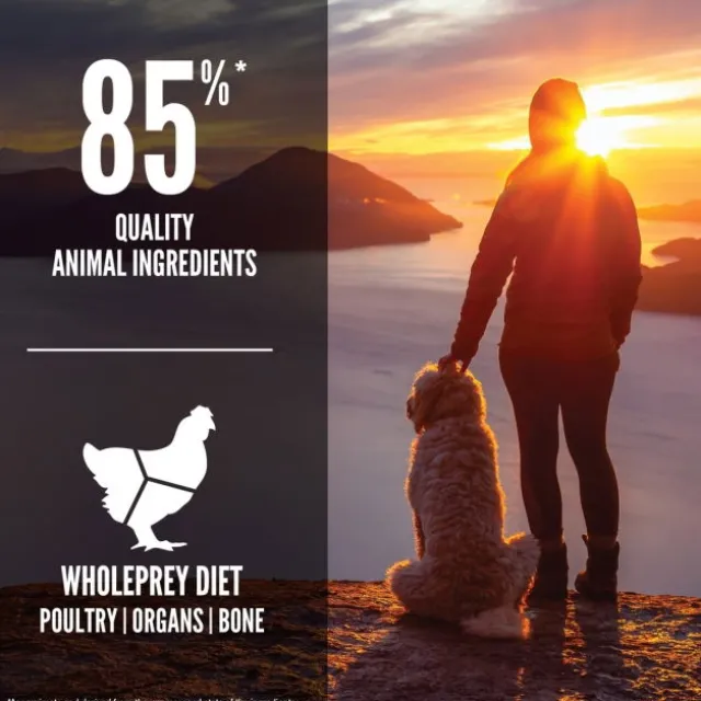 Orijen Dog Senior