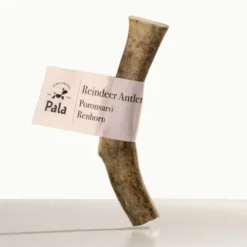 Pala Reindeer Horn