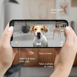 PetCube Bites 2 Lite Interaktiv Kamera for Kjæledyr med Godbitdispenser