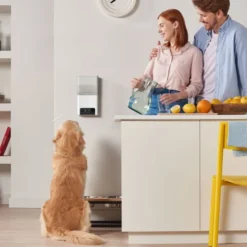 PetCube Bites 2 Lite Interaktiv Kamera for Kjæledyr med Godbitdispenser