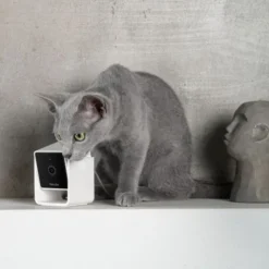 Petcube Cam Husdyrskamera med Lyd 1080p HD 2 way audio