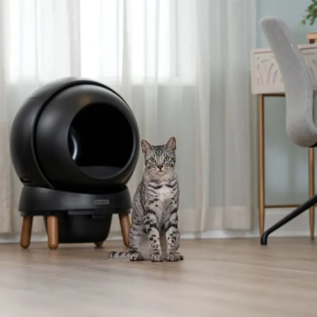 PetSafe SmartSpin Selvrensende Kattetoalett, Sort