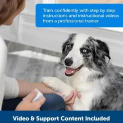 PetSafe Teach & Treat Godbitautomat med Fjernkontroll