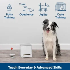 PetSafe Teach & Treat Godbitautomat med Fjernkontroll