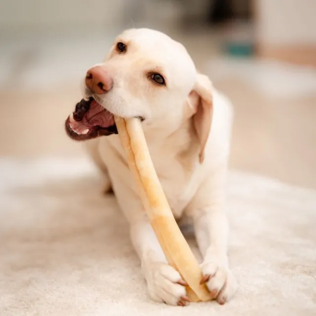 POCCA European Beef Rawhide Tyggerull 37 cm