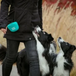 Pro Dog godbitpose i silikon, turkis