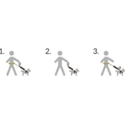 Pro Dog Handsfree sett inneh. belte+kobbel