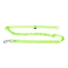 Pro Dog Stretch Elastisk Nylonbånd 2,5x170cm Lime
