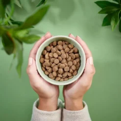 Purenatural Cat Adult Sensitive Pork