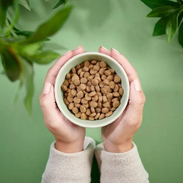Purenatural Cat Sterilised Grain Free Chicken