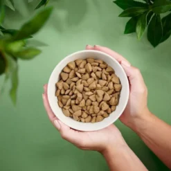 Purenatural Dog Adult Sensitive Salmon