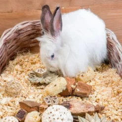 Quapas! Nibble eske med Smådyrsleker Stjerner