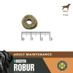 Robur Adult Maintenance