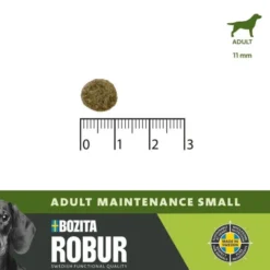 Robur Adult Maintenance Mini