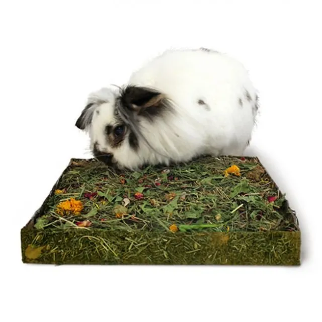 Rosewood Nibble'n'Dig Meadow Engshøy