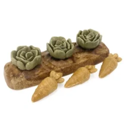 Rosewood Veggie Burst Salad Patch