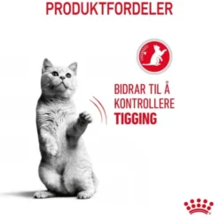 Royal Canin Appetite Control Care Cat Adult