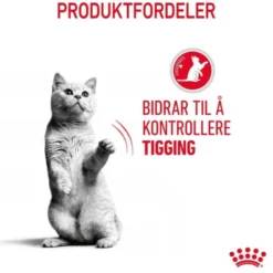 Royal Canin Appetite Control Care Gravy Cat Adult 12 x 85 g