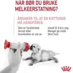 Royal Canin Babycat Milk melk til kattunge