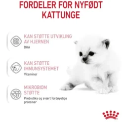 Royal Canin Babycat Milk melk til kattunge
