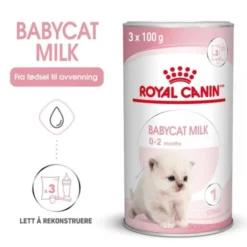 Royal Canin Babycat Milk melk til kattunge
