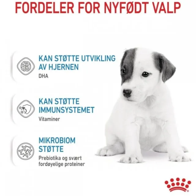 Royal Canin Babydog Milk melk til valp