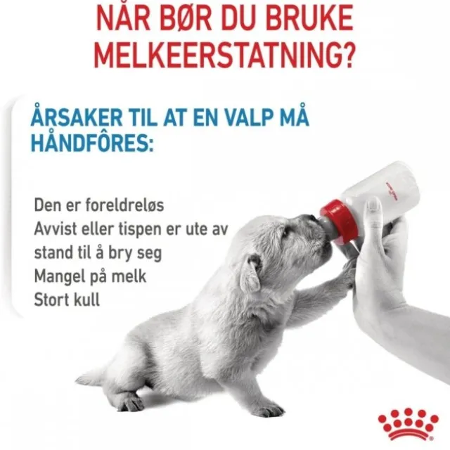 Royal Canin Babydog Milk melk til valp