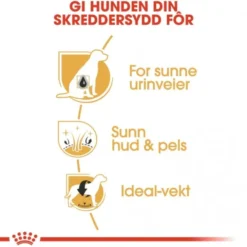 Royal Canin Bichon Frisé Adult tørrfôr til hund