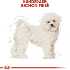 Royal Canin Bichon Frisé Adult tørrfôr til hund