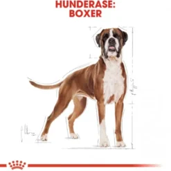 Royal Canin Boxer Adult tørrfôr til hund