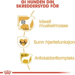 Royal Canin Boxer Adult tørrfôr til hund