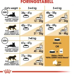 Royal Canin Breed Bengal Cat Adult