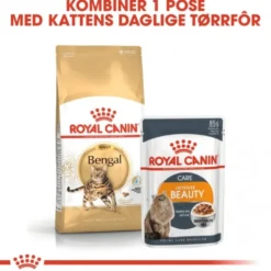 Royal Canin Breed Bengal Cat Adult