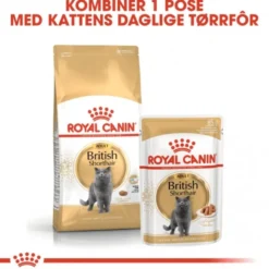 Royal Canin Breed British Shorthair Cat Adult