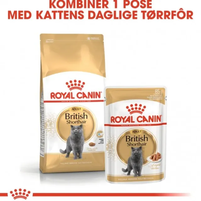 Royal Canin Breed British Shorthair Cat Adult