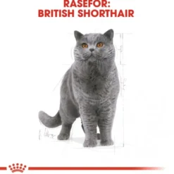Royal Canin Breed British Shorthair Cat Adult