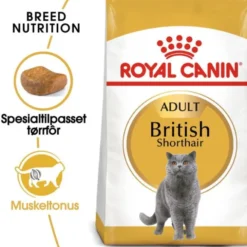 Royal Canin Breed British Shorthair Cat Adult