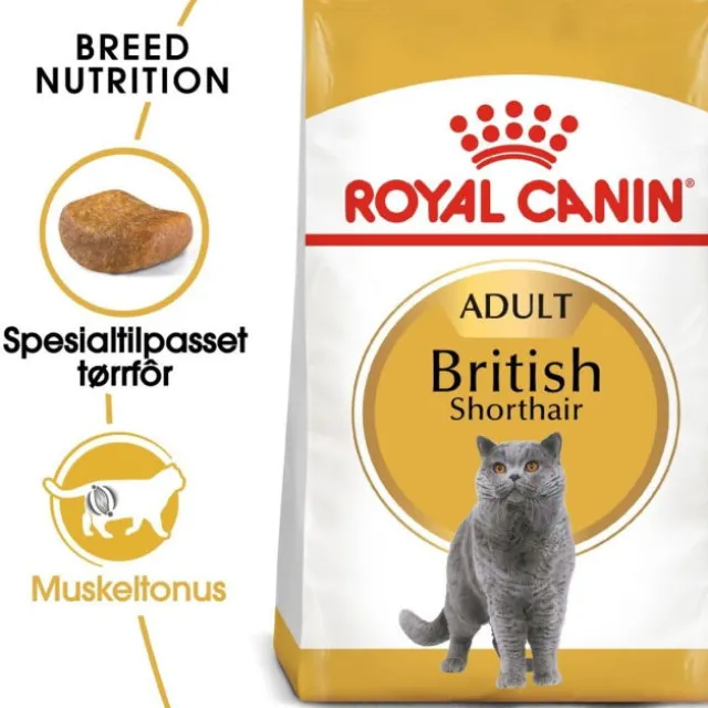 Royal Canin Breed British Shorthair Cat Adult